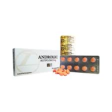 LANDERLAN ANDROLIC MESTEROLONA (PROVIRON) 25 MG 20 TABLETAS