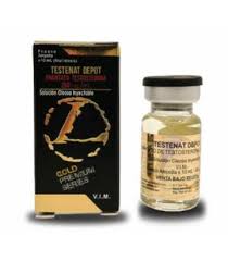 LANDERLAN GOLD TESTENAT DEPOT (ENANTATO) 250 MG/ ML 10 ML