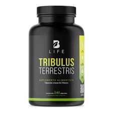 [X002TQKPEP] B LIFE TRIBULUS TERRESTRIS 240 CAPS