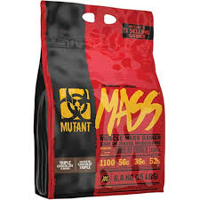 [811662025139] MUTANT MASS 15 LBS CHOCOLATE FUDGE BROWNIE