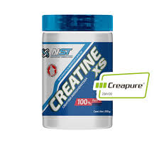 [606638938755] NST CREATINA XS CREAPURE 300 GRS