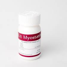 ROTTERDAM PHARMACEUTICAL MYOSTATIN (YK-11) 20 MG 30 TABS